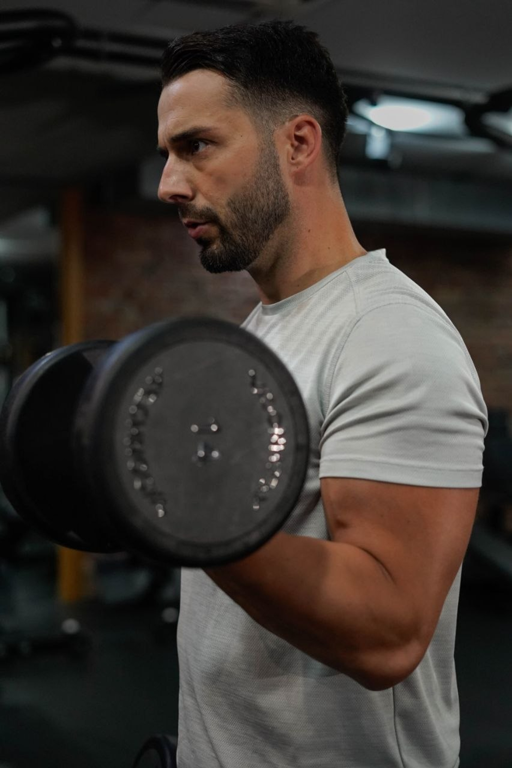 Muscle up workout program